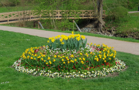 Frühlingsblumen im Park